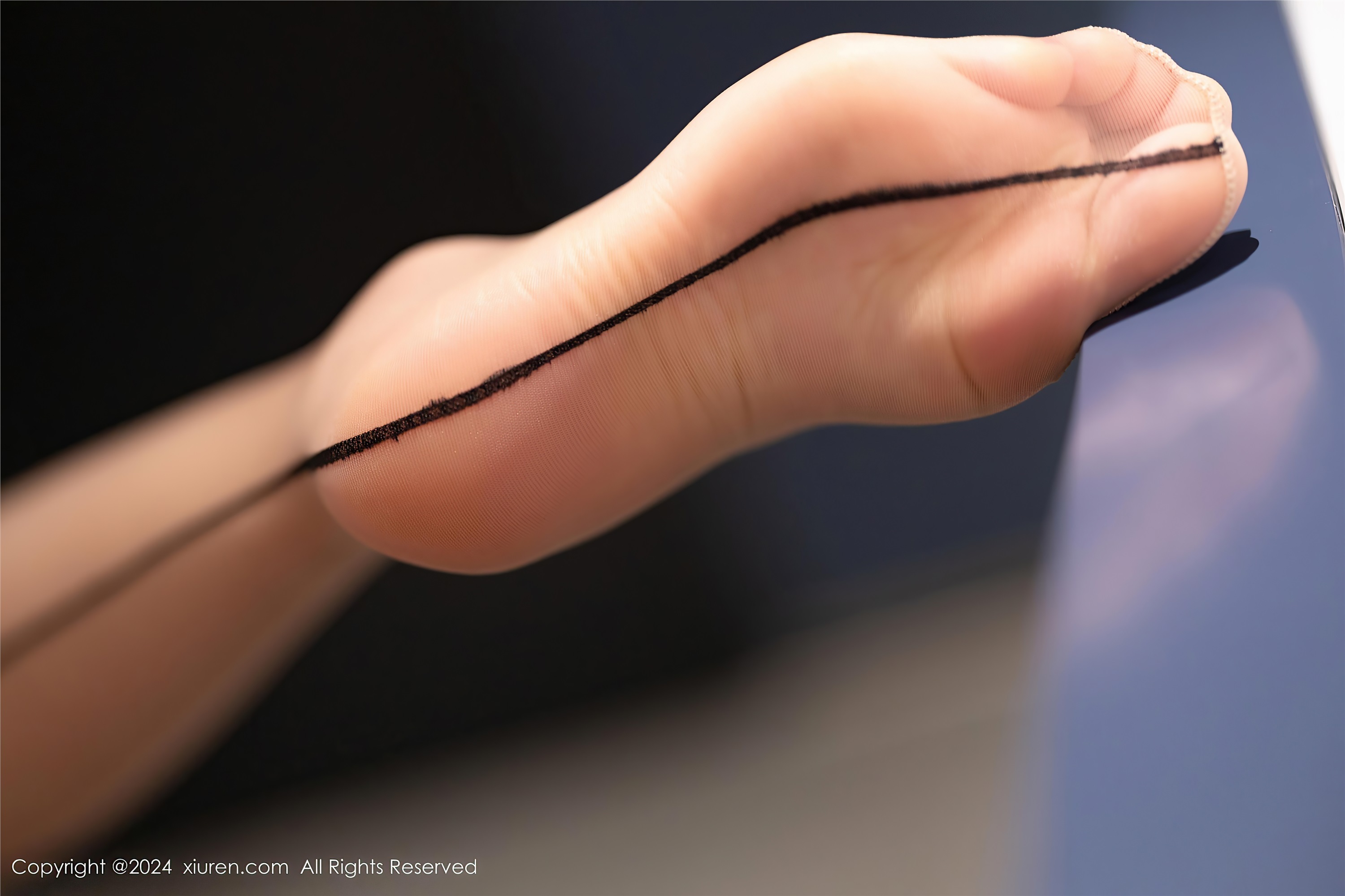 Xiuren秀人网 2024.10.25 NO.9348 杨晨晨Yome